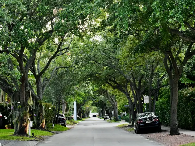 Hook Boulevard 60/135